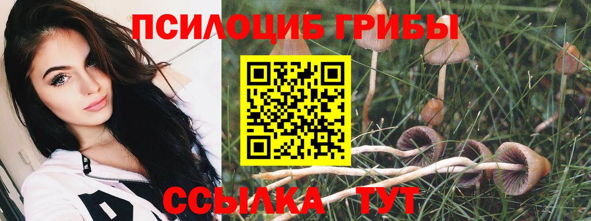 Псилоцибиновые грибы MAGIC MUSHROOMS  Псилоцибиновые грибы Psilocybine cubensis  Снежинск  Вход с VPN 