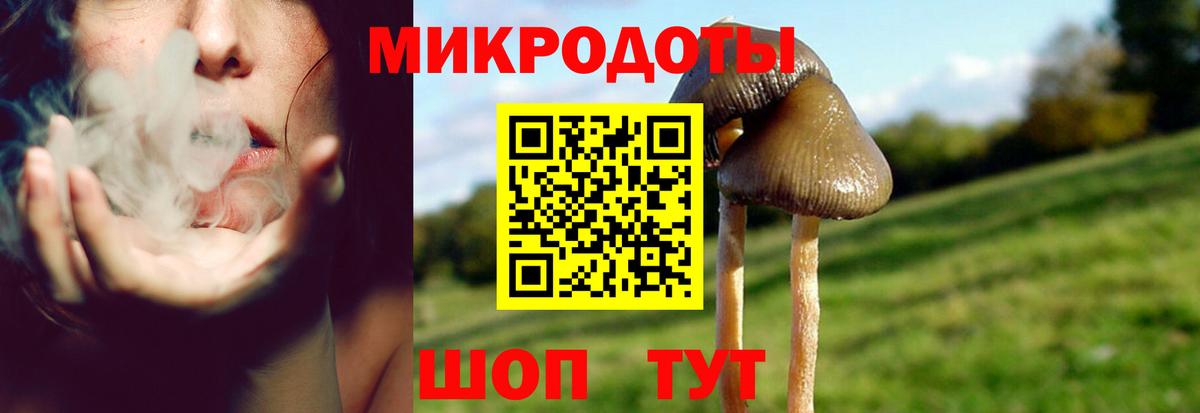Псилоцибиновые грибы Psilocybine cubensis Снежинск